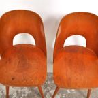 Oswald Haerdtl Chairs thumbnail 14