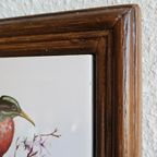 Vintage Tegeltjes Tegeltableau Lijstjes Met Vogels thumbnail 5