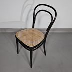 Michael Thonet 79 Cafe Chair / Model 214 / Cane thumbnail 4
