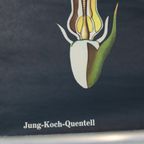 Grote Vintage Schoolkaart Zonnebloem Jung Koch Quentell 117Cm thumbnail 3