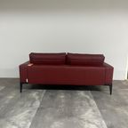Bert Plantagie Renio | Bank thumbnail 6