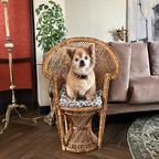 Pauwenstoel Rotan Bohemian Vintage thumbnail 3