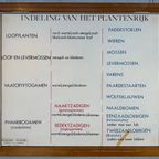 18X Vintage Schoolplaten ‘Botanica’ In Wisselkader thumbnail 10