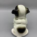 Porseleinen Engelse Buldog Pup thumbnail 8