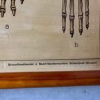 Vintage Linnen Schoolkaart – Op Borneo / In De Siberische Vlakte thumbnail 9