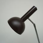 Dark Brown Floor Lamp By H. Busquet For Hala Zeist, 1960S thumbnail 3