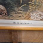 Antieke Schoolplaat Schoolkaart Noordzee Wolters thumbnail 5