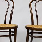 Bentwood No 18. Chairs By Zpm Radamsko thumbnail 2
