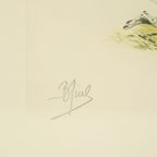 Kleuren Litho’s Boris Riab Jachthond Gesigneerd Kunst Paris thumbnail 12