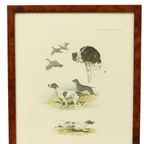 Kleuren Litho’s Boris Riab Jachthond Gesigneerd Kunst Paris thumbnail 4