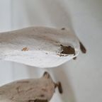 Een Set Van 4 Houten Vogels Messing Vogels Pinquin Vogels thumbnail 5