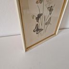 Vintage Lijst Met Prent Vlinders Vlinder Schilderij thumbnail 7
