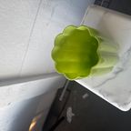 Polspotten | Meloen Vaas - M thumbnail 12