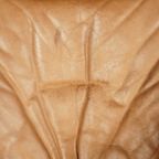 ‘kroken’ Fauteuil Met Hocker – Ake Fribyter – Nelo Möbel – Jaren 70 thumbnail 4