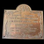 Plaquette - Great Exhibition 1851 Taxidermy Exhibit Plaque - Lagopus Scoticus thumbnail 2