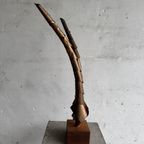 Sculptural Horns Art Piece thumbnail 7