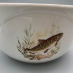 Set Royal Schwabap Schalen Visdecor thumbnail 3