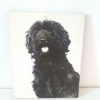 Oude Foto Op Hout Bouvier Hond Zwart WIT Retro Foto thumbnail 2