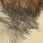 Grote Kleuren Litho Leon Danchin Jachthond Spaniël 68x55cm thumbnail 9