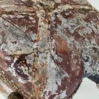 Tang Dynasty Paard thumbnail 16