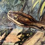Vintage Linnen Schoolkaart – Op Borneo thumbnail 5