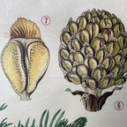 Vintage Linnen Schoolkaart ‘de Grove Den’ thumbnail 8