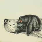 Maurice Brailly Franse Spaniël Hond Vogels Vintage Grafiek 1972 thumbnail 11