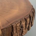 Boomstamtafel Met Nieuwe Luspoten 70861 thumbnail 4