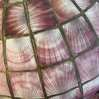 Vintage Roze Capiz Shell Luster / Hanglamp thumbnail 8