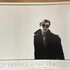 Nat Finkelstein (1933-2009), ‘andy Warhol thumbnail 1