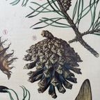 Vintage Linnen Schoolkaart ‘de Grove Den’ thumbnail 6