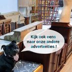 Vintage Chesterfield Stijl Fauteuil, Oorfauteuil 209 thumbnail 16