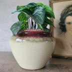 Prosman Philipsland Holland Bloempot thumbnail 3