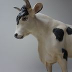 Oude Gipsen Model Van Koe Uit Slagerij, Beenhouwerij thumbnail 8