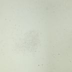 Antieke Franse Vergulde Spiegel Barok Stijl 19de Eeuw 148cm thumbnail 7