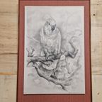 Vintage Print Of Tekening Kakatoe Schilderij Vintage thumbnail 6