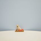 Beeld Hond Op Plankje thumbnail 2
