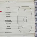 Schoolplaat - De Cel (Lichtmicroscopisch) thumbnail 5