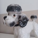 Vintage '80 Xl Poedelbeeld. Handbeschilderde Italiaanse Keramiek. thumbnail 5