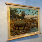 Vintage Linnen Schoolkaart – Nijlpaard – M.a. Koekoek thumbnail 5