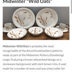 Vintage Midwinter Stonehenge Set “Wild Oats” thumbnail 10