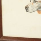 Kleuren Litho Leon Danchin Jachthond Spaniël Genummerd 150-300 thumbnail 13