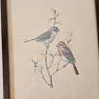 Vintage Schilderij Met Vogels Prent Druk thumbnail 3