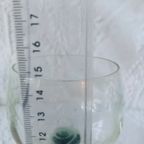 Riesling Facet Glazen thumbnail 9