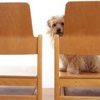 Vintage Design Houten Stoelen Met Plaats Voor Je Tijdschrift thumbnail 17