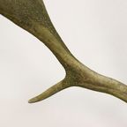 Groot Gewei Op Wandplaat thumbnail 4