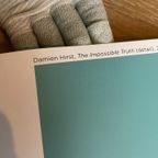 Damien Hirst, The Impossible Truth (Detail) thumbnail 4
