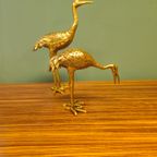 Set Messing Kraanvogels Kraanvogel Vogel Vogels thumbnail 21