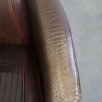 Exclusieve Set Rundleren Aviator Design Fauteuils Met Een Bijzondere Kleurstelling thumbnail 9