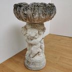 Antieke Tuinvaas Bloembak, Plantenbak Jardinière Op Zuil thumbnail 8